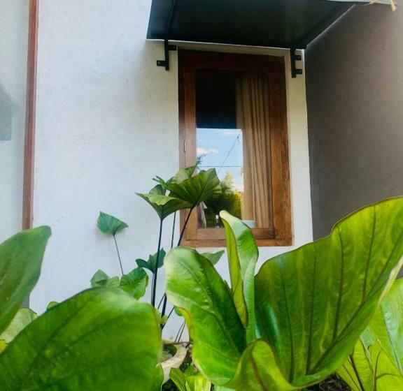 اتاق لوکس خانوادگی, Jungle City Hostel