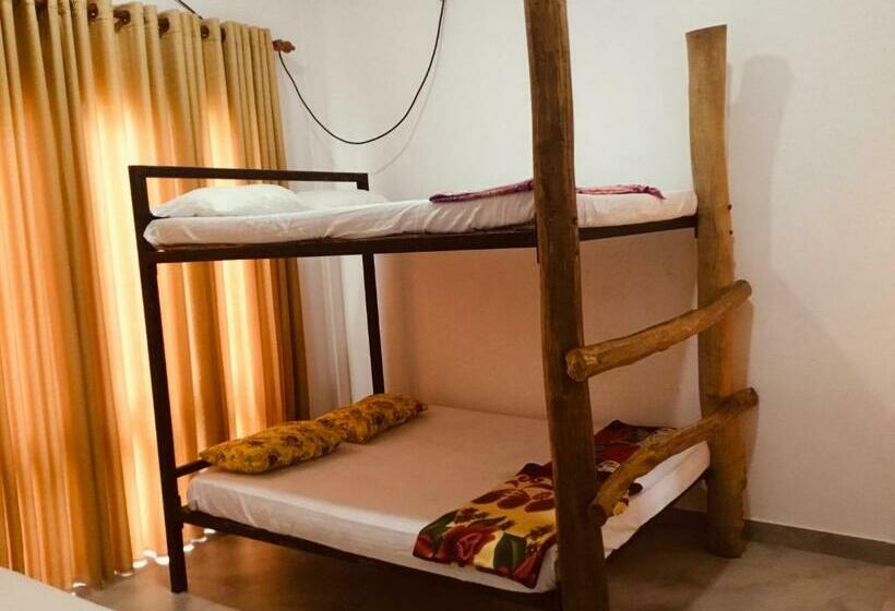 اتاق لوکس خانوادگی, Jungle City Hostel