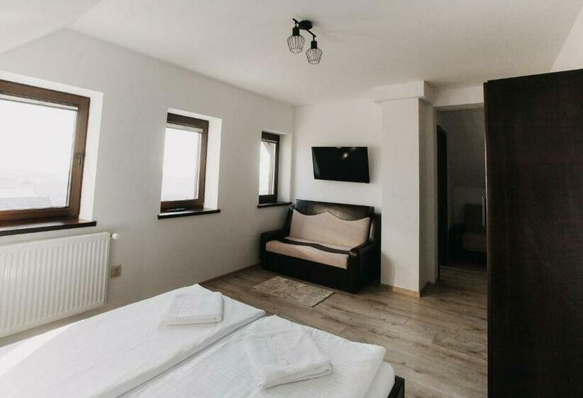 Номер Стандарт, Borsika Pensiune & Spa