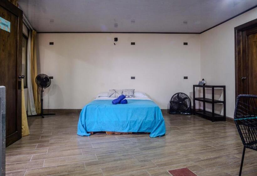 침실 1개 아파트, Argdivan Hostel