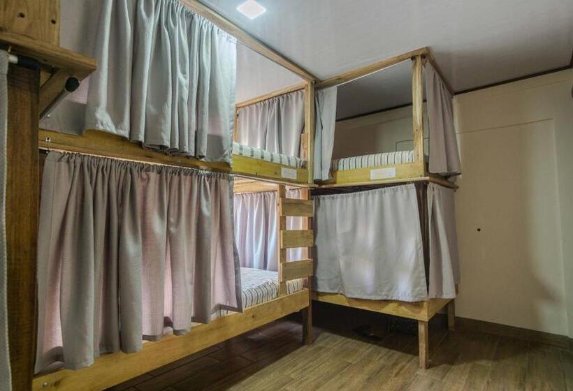 공동 객실, Argdivan Hostel