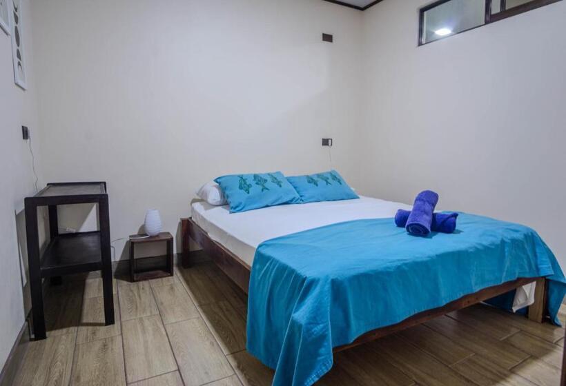 스탠다드 룸, Argdivan Hostel