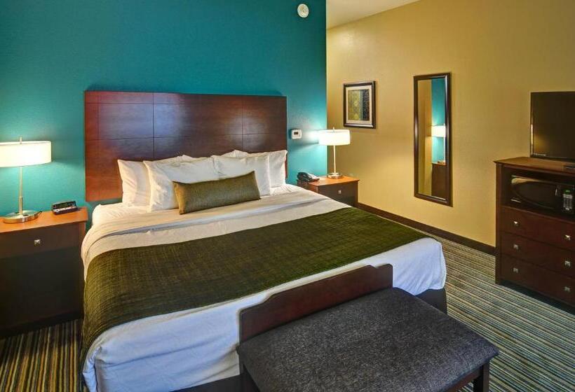 스탠다드 룸 킹사이즈 침대, Best Western Plus Patterson Park Inn