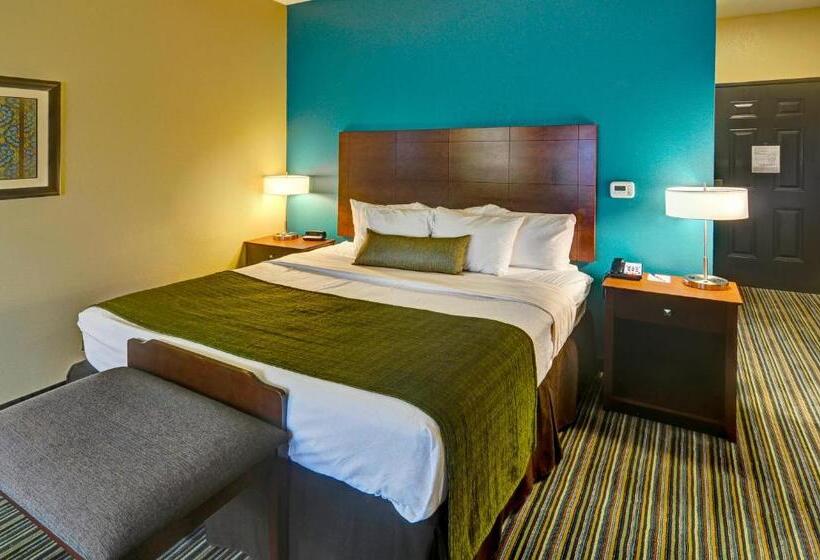 스탠다드 룸 킹사이즈 침대, Best Western Plus Patterson Park Inn