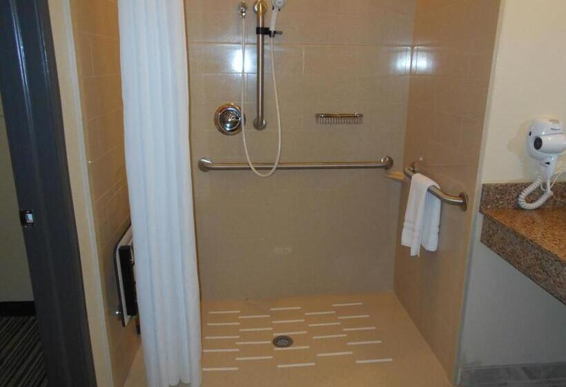 스탠다드 룸 킹사이즈 침대, Best Western Plus Patterson Park Inn