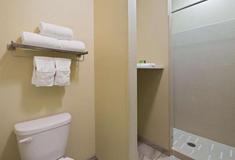 장애인을 위한 킹사이즈 침대 스탠다드 룸, Best Western Plus Patterson Park Inn