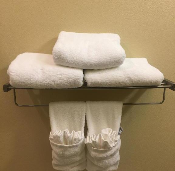 스위트 킹사이즈 침대, Best Western Plus Patterson Park Inn
