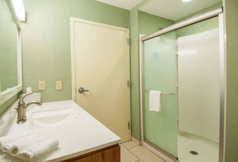 高级工作室, Home2 Suites By Hilton Midland