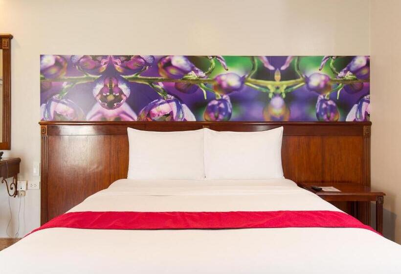豪华房间, Mj Hotel & Suites