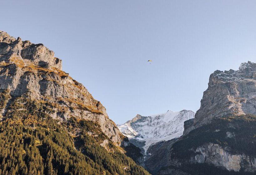 带观景的标准间, Fiescherblick