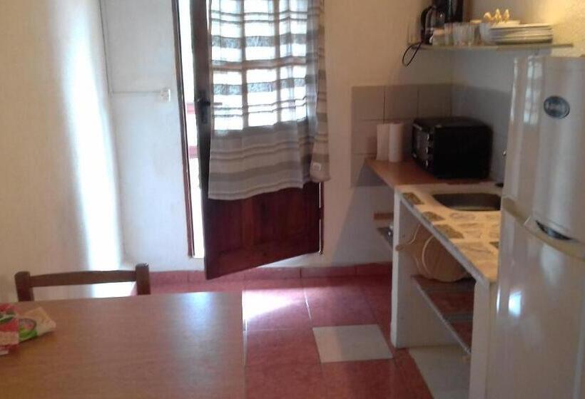 스탠다드 스튜디오, Mini Apartamentos