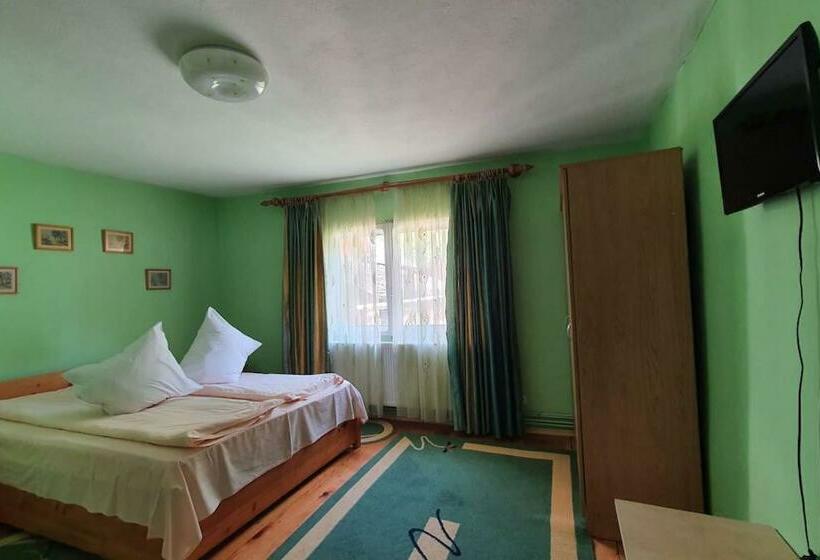 Номер Стандарт Вид на Горы, Casa Petruta Dambovicioara