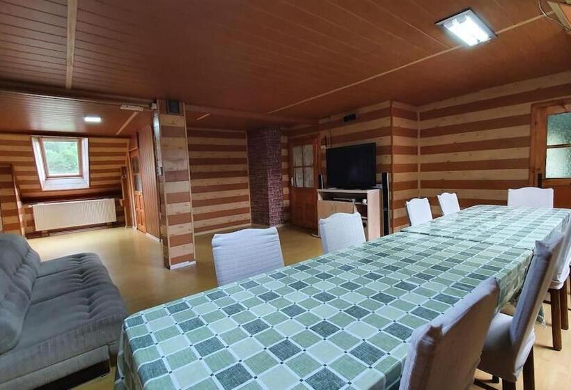 Апартаменты 1 Спальня с Балконом, Casa Petruta Dambovicioara
