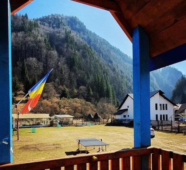 Дом 1 Спальня, Casa Petruta Dambovicioara