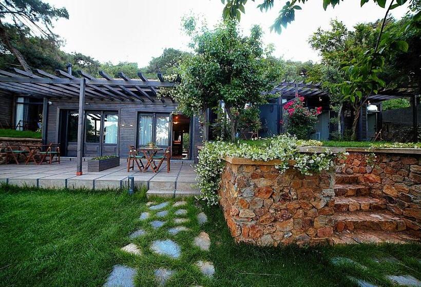 家庭洋房, Triada Hotel Buyukada