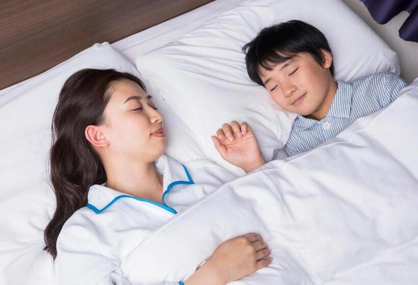 اتاق استاندارد, Comfort Hotel Ishigaki Island
