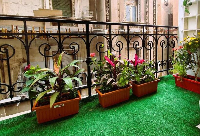 اتاق لوکس چهار تخته, The Australian Hostel