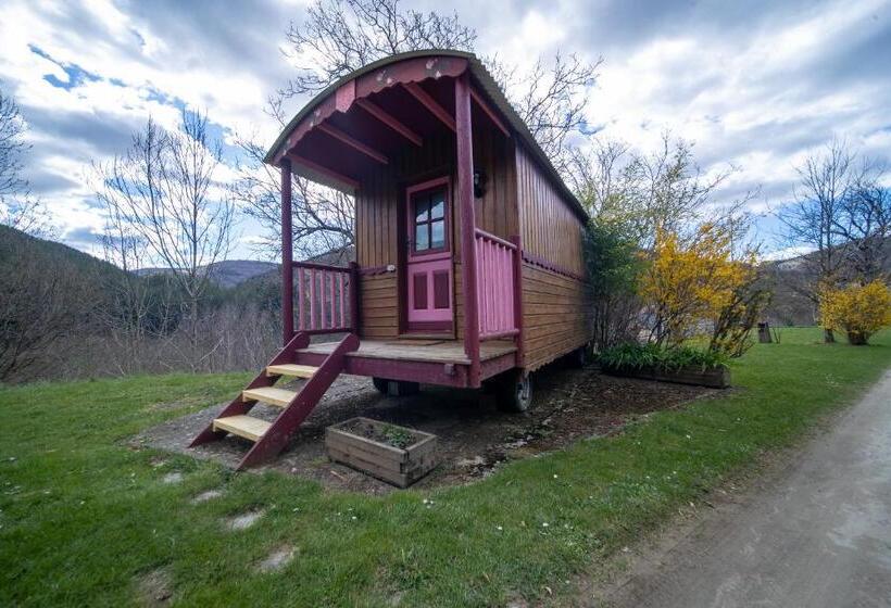 Номер Стандарт, Les Copains à Bord