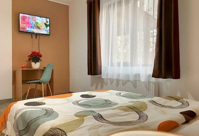 스탠다드 룸, Pensiunea Bozi Timisoara