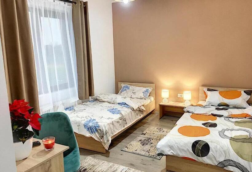 스탠다드 룸, Pensiunea Bozi Timisoara
