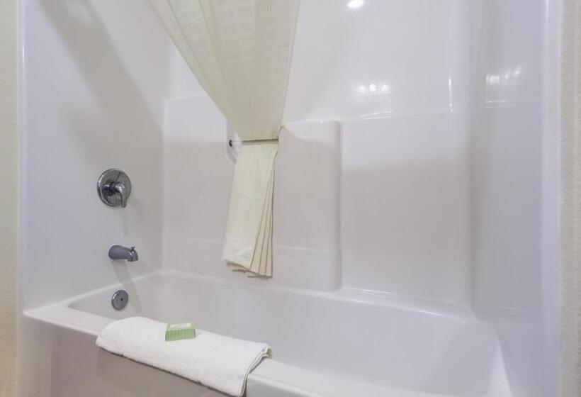 스탠다드 룸 킹사이즈 침대, Cobblestone Inn & Suites  Fremont
