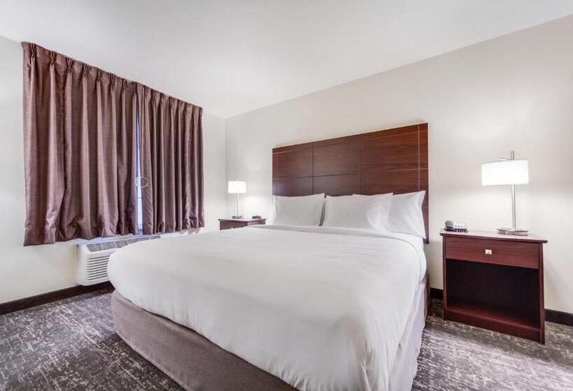 스탠다드 룸 킹사이즈 침대, Cobblestone Inn & Suites  Fremont