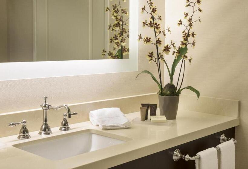 Люкс Адаптированный для Инвалидов, Ayres Hotel Orange