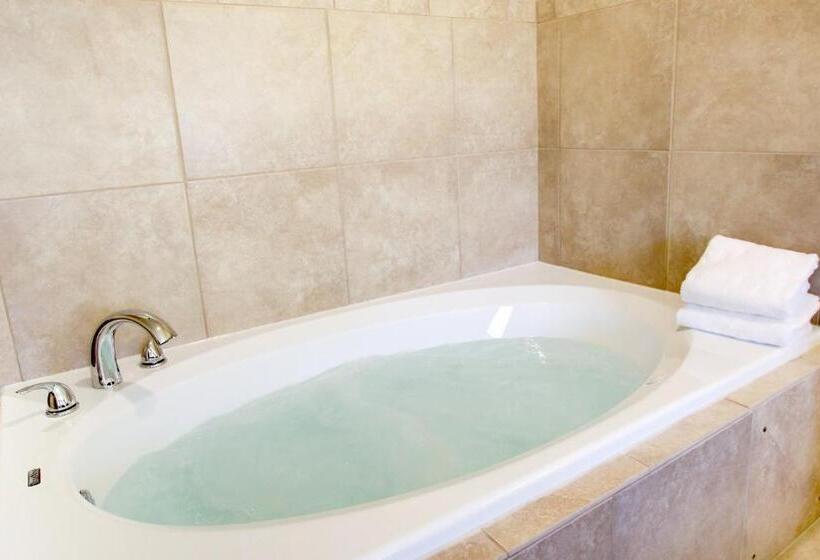 带大床的标准间, Cobblestone Hotel & Suites   Salem