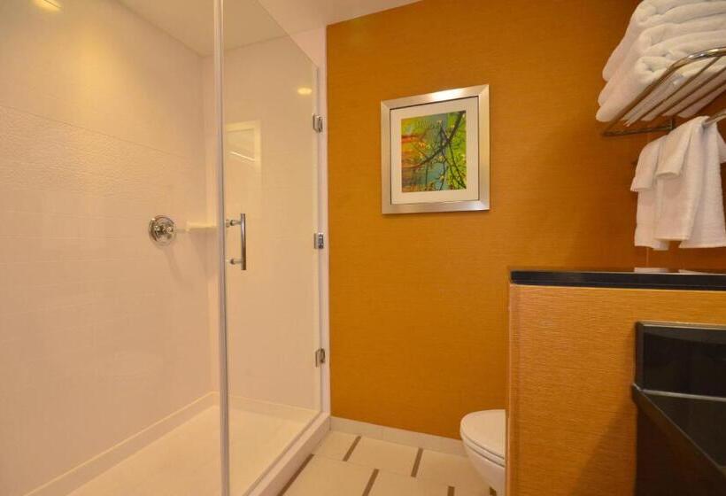 Стандартный Номер Кровать Кинг, Fairfield Inn & Suites By Marriott St. Louis Pontoon Beach/granite City, Il