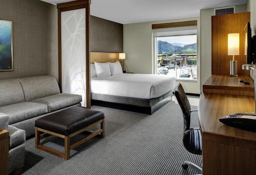 장애인을 위한 스탠다드 룸, Hyatt Place Boulder/pearl Street