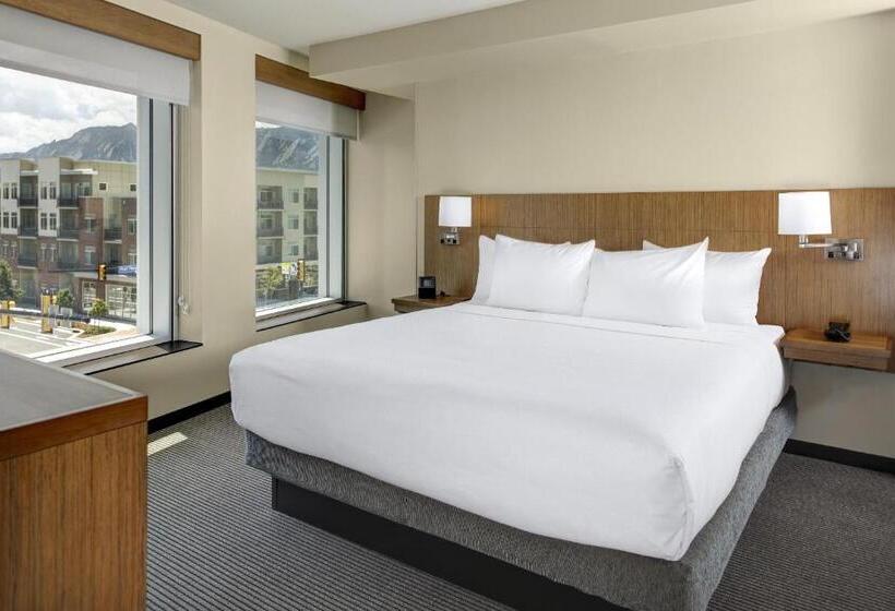 스탠다드 룸 킹사이즈 침대, Hyatt Place Boulder/pearl Street
