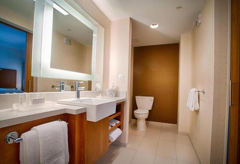 Люкс Кровать Кинг, Springhill Suites By Marriott Canton