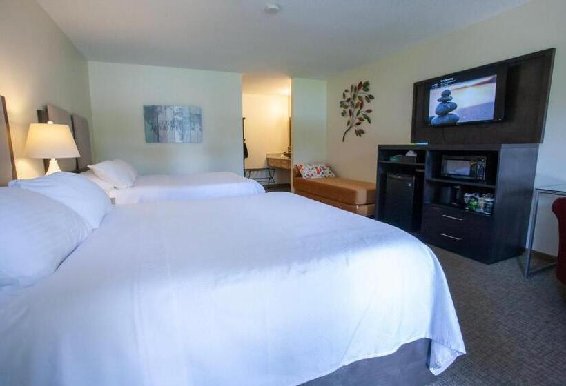 Номер Deluxe, Bavarian Inn, Black Hills