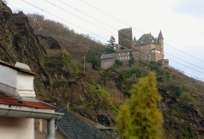标准单人间, Pohl S Rheinhotel Adler