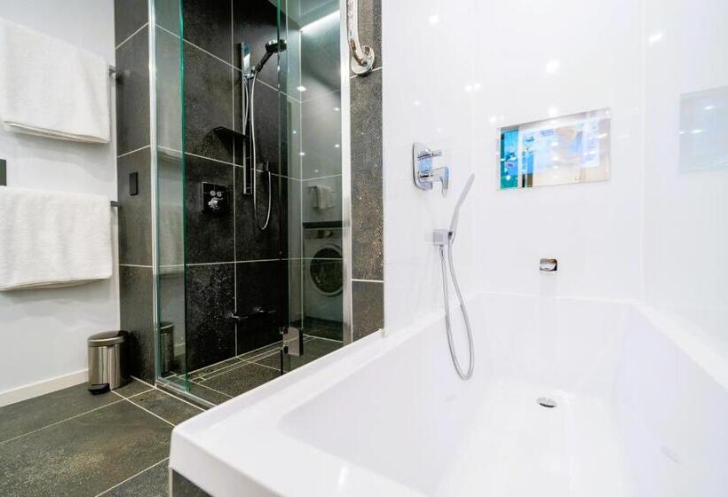 Студия Deluxe, Fiordland Lakeview Motel And Apartments