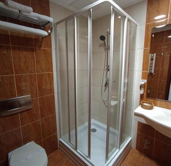 Номер Стандарт с Балконом, Germisara