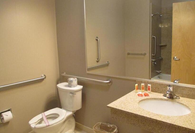 장애인을 위한 킹사이즈 침대 스탠다드 룸, Red Carpet Inn And Suites Monmouth Junction