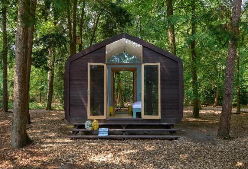 스탠다드 룸, Stayokay Hostel Apeldoorn