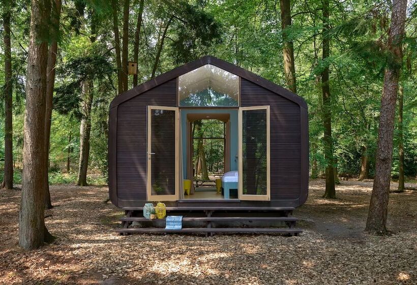 스탠다드 룸, Stayokay Hostel Apeldoorn