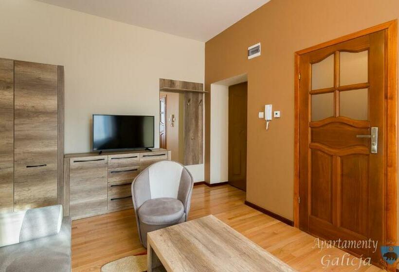 Апартаменты 1 Спальня Нижний Этаж, Apartamenty Galicja