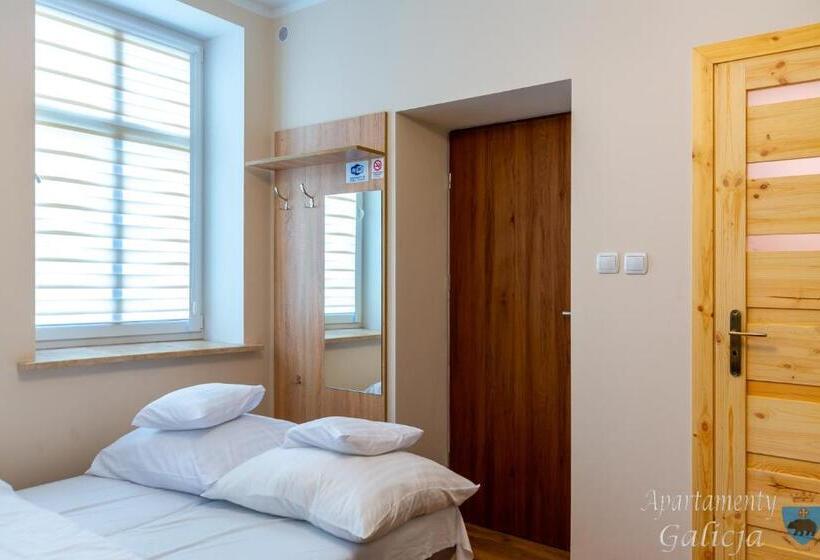 Апартаменты 1 Спальня Нижний Этаж, Apartamenty Galicja