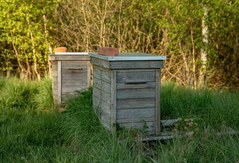 Четырехместный Номер Стандарт, żurawi Jar