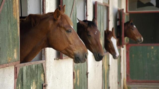 Номер Economy, The Stables   Deer Park Farm