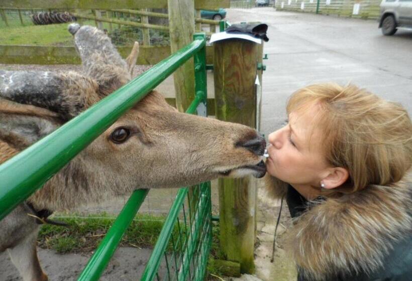 Шале 1 Спальня, The Stables   Deer Park Farm