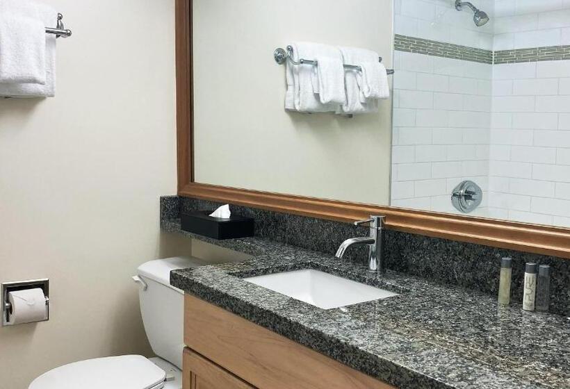 Номер Стандарт в Мансарде, Mountain Side Hotel Whistler By Executive