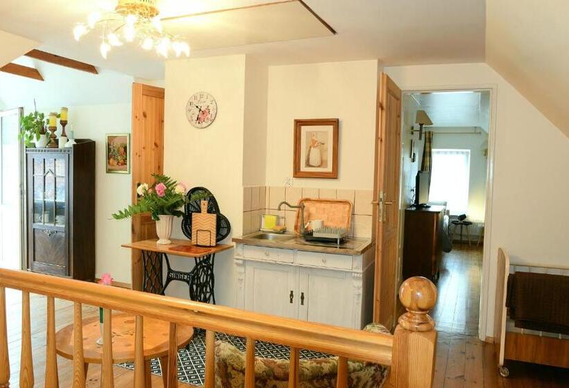 Студия Стандарт, Guest House Wiejska Sielanka