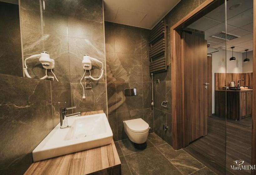 Студия Стандарт, Lake Hill Karkonosze Apartments