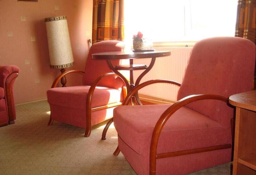 Номер Superior, Motel Zacisze