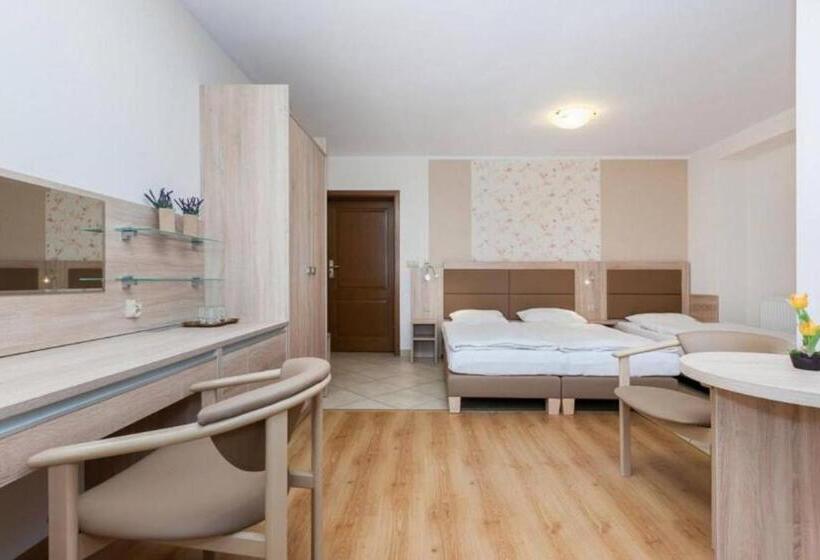 Номер Стандарт, Paula Wellness & Spa
