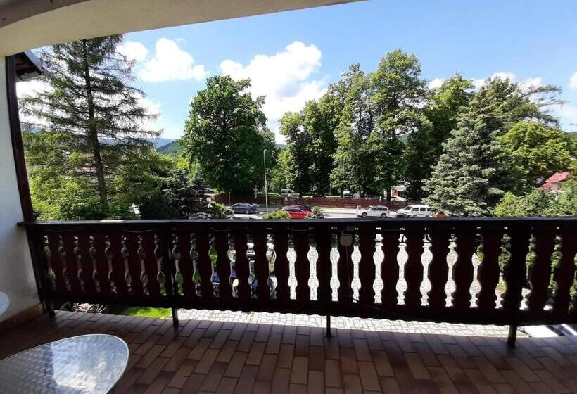 Номер Стандарт Трехместный, Usługi Hotelarskie Karpacz